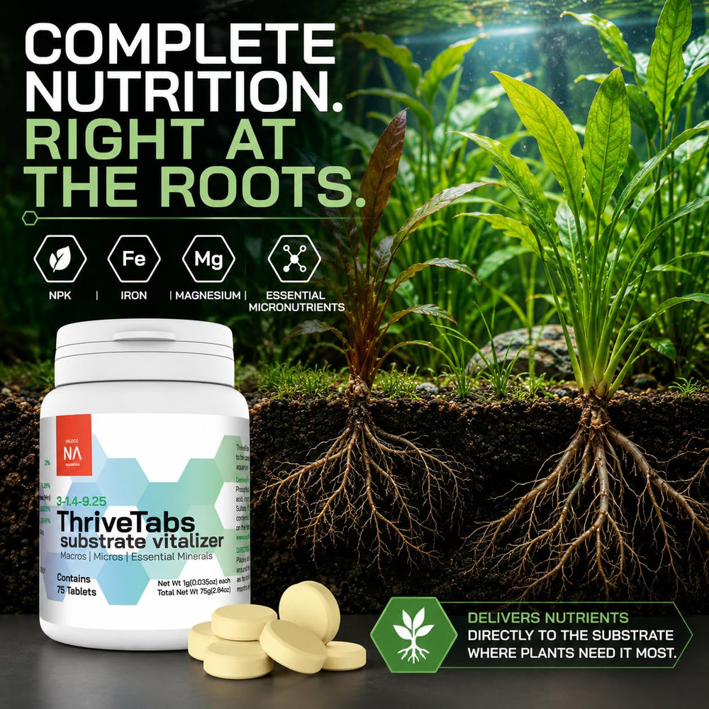 NilocG ThriveTabs pastille insérée dans le substrat pour nutrition ciblée