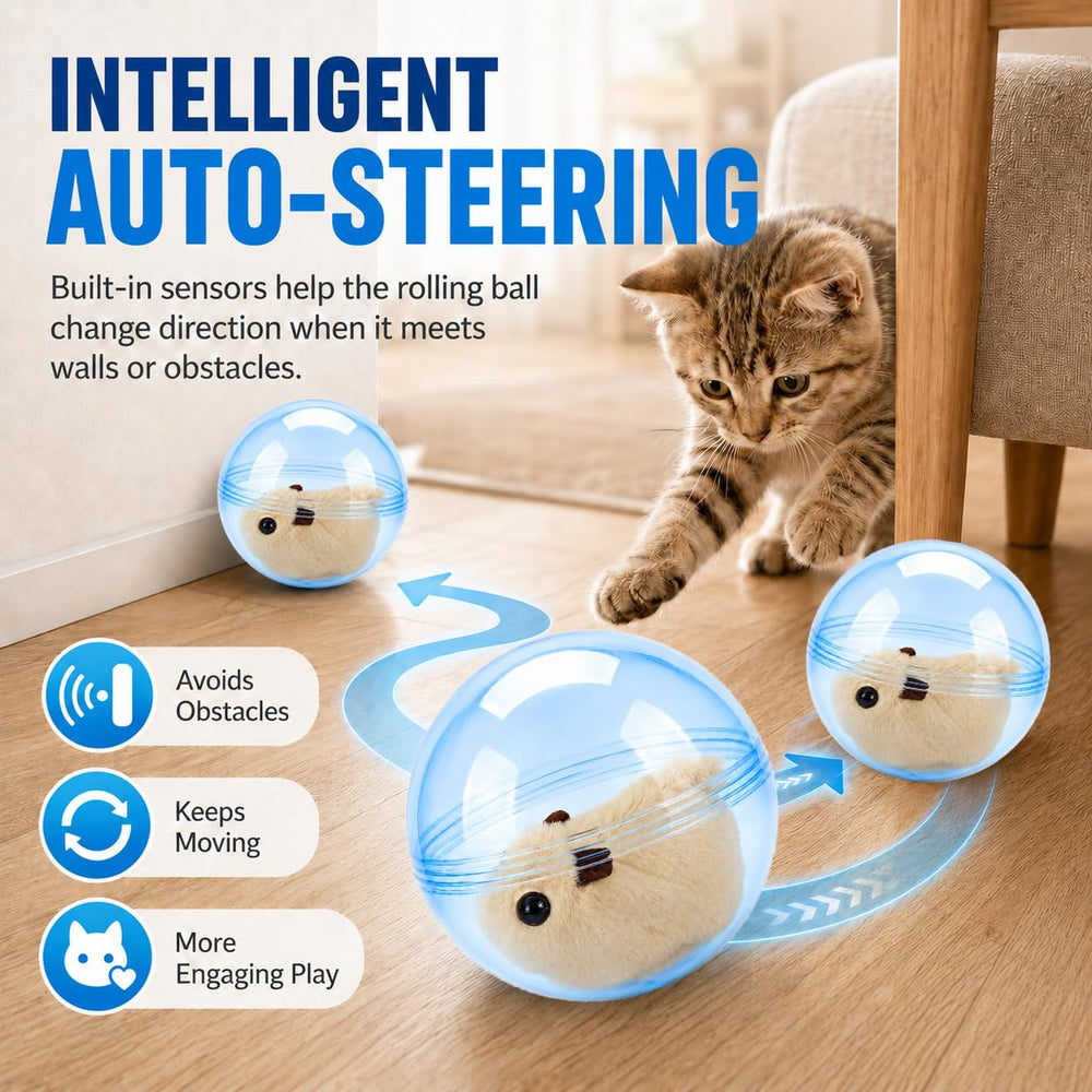 NILUTO balle en action avec chat chassant pour stimuler l'exercice