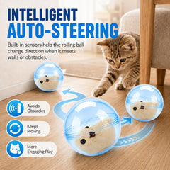 NILUTO balle en action avec chat chassant pour stimuler l'exercice