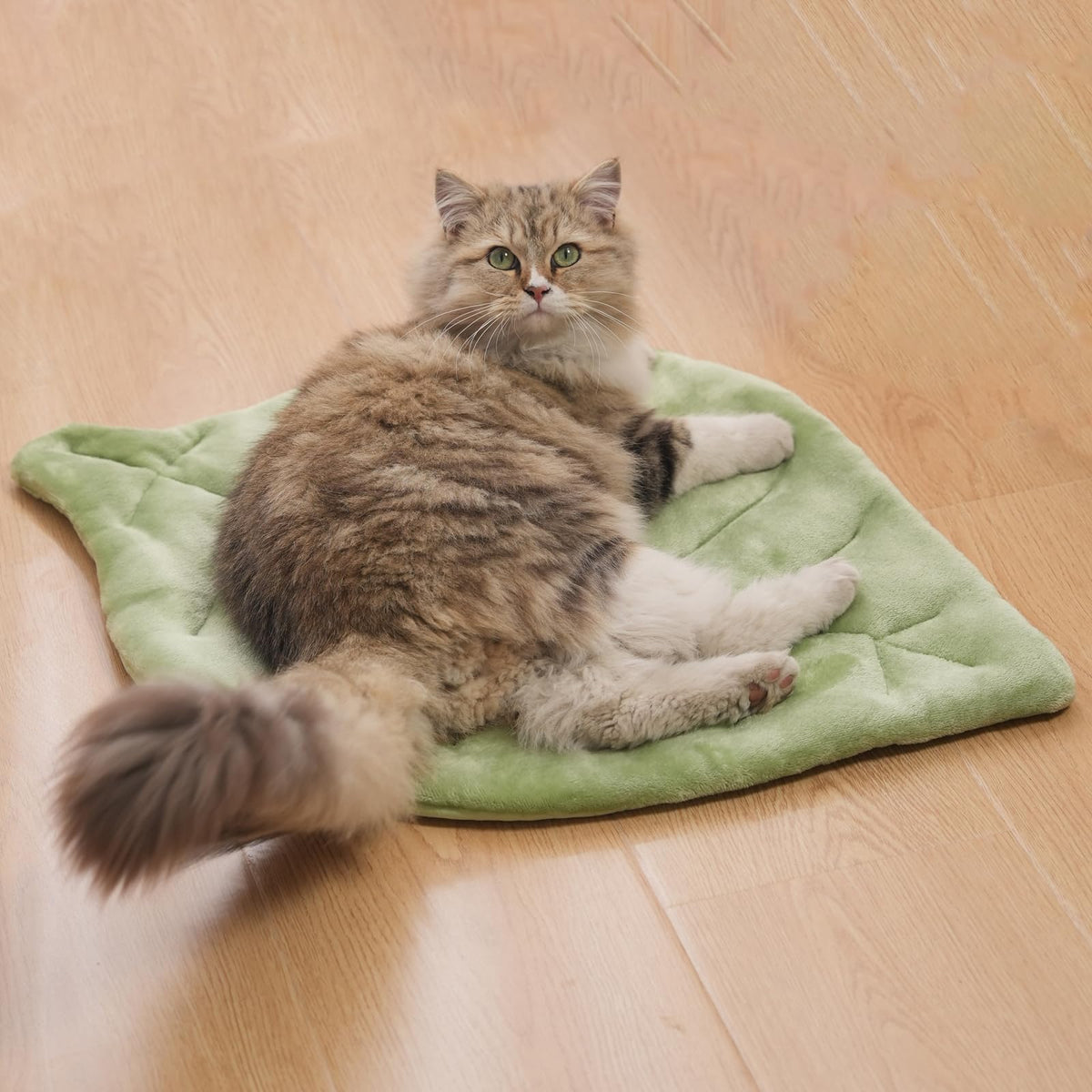 Nimorio tapis feuille face avant présentant confort et design