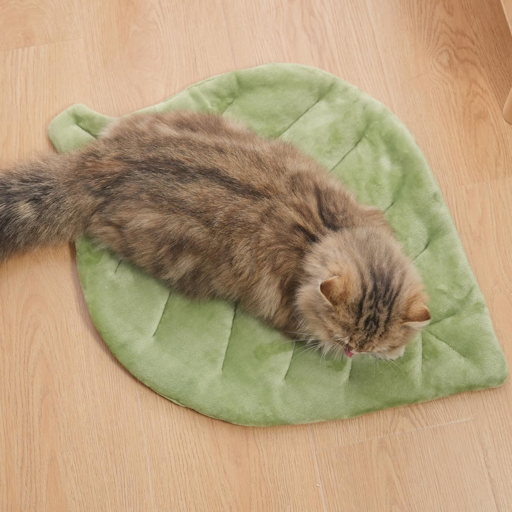Nimorio tapis feuille sur canapé intégration décor et confort