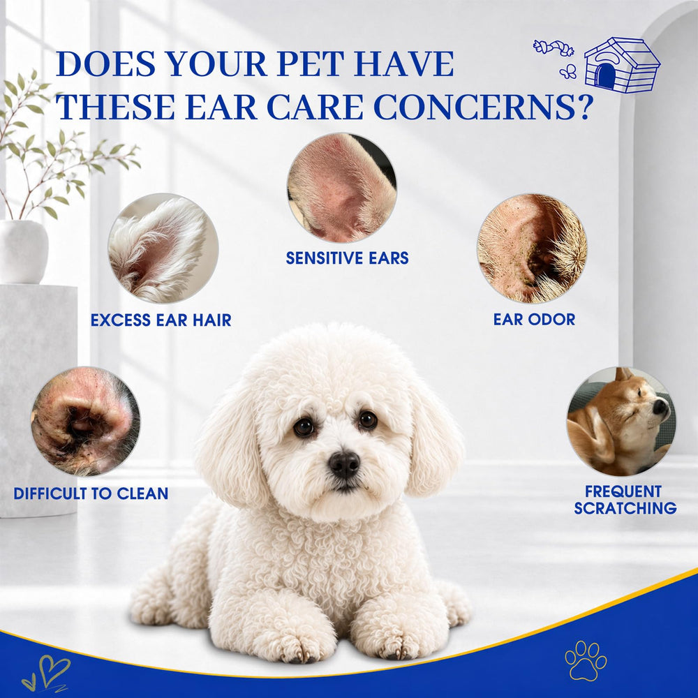 Ninibabie démonstration sur chien calme, usage simple et contrôlé pour propriétaire