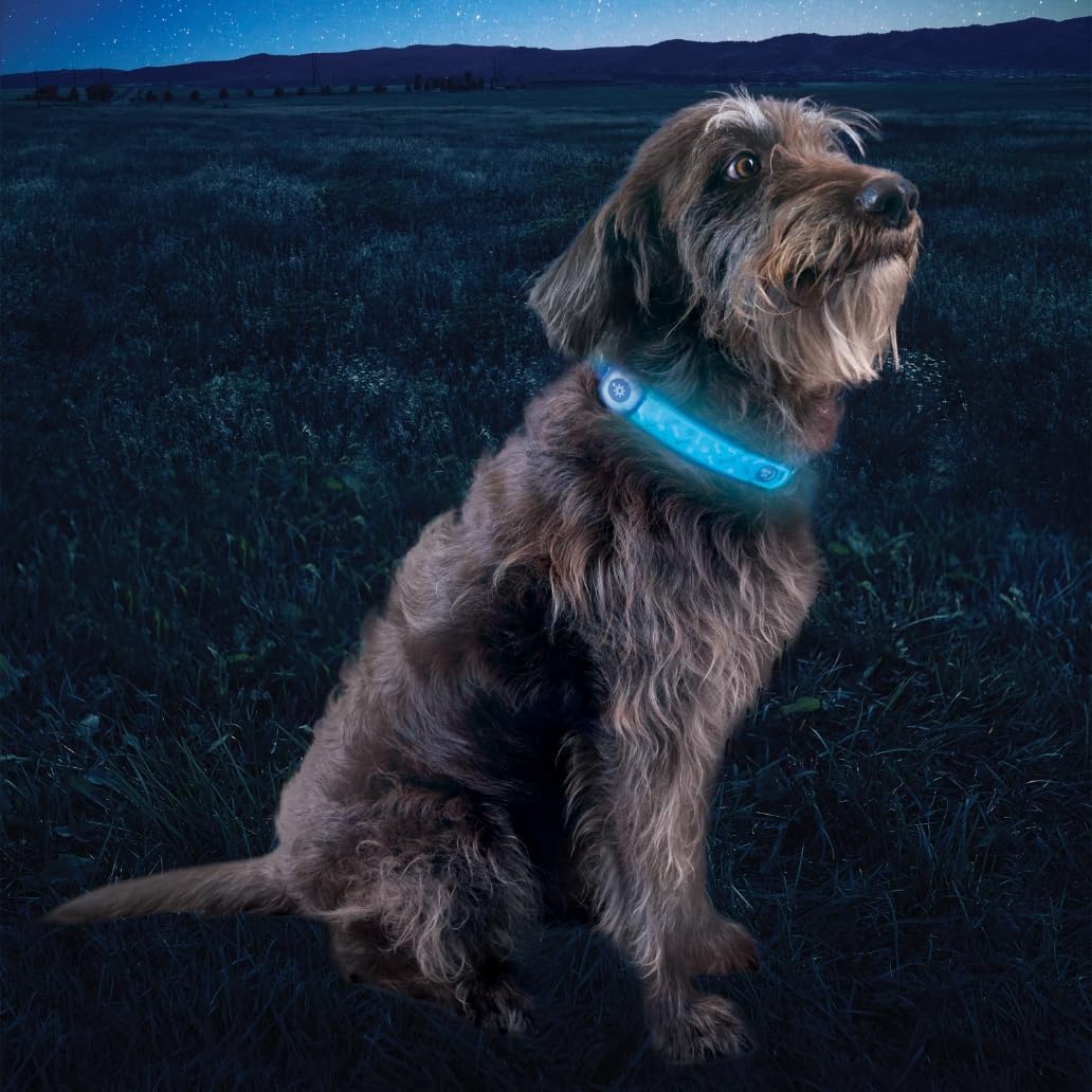 Nite Ize mode Disc-O montrant changement de couleurs attractif et visible