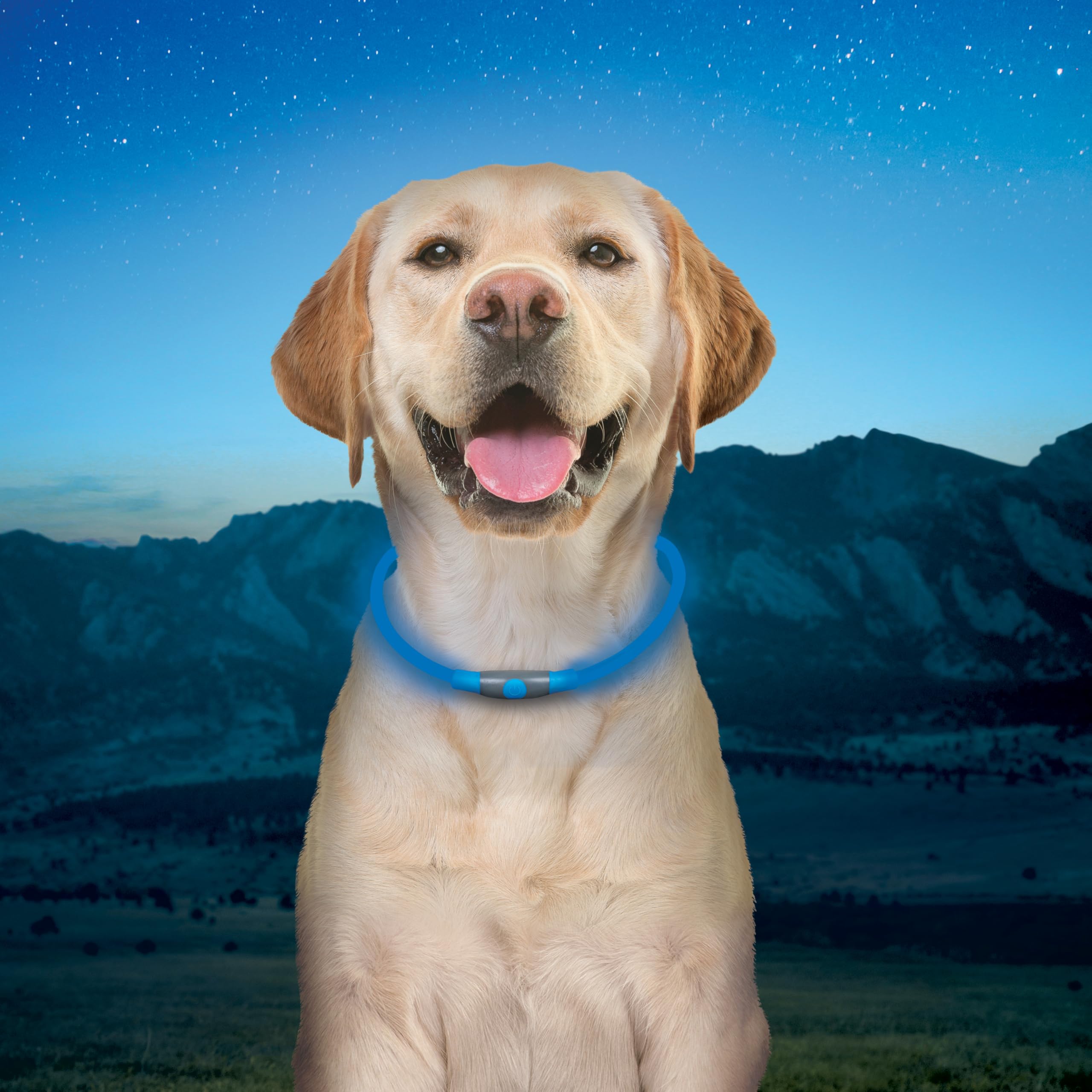 Nite Ize NiteHowl à côté d'un collier classique pour comparaison d'échelle et compatibilité