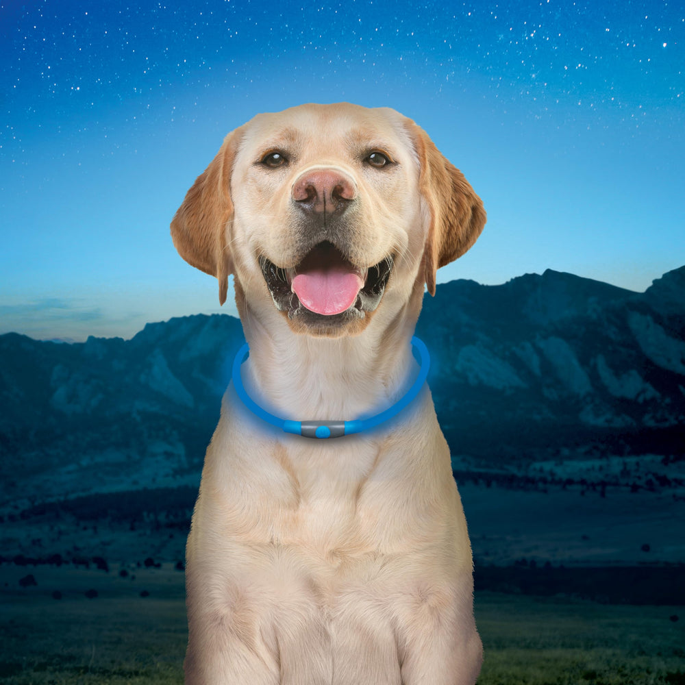 Nite Ize NiteHowl à côté d'un collier classique pour comparaison d'échelle et compatibilité