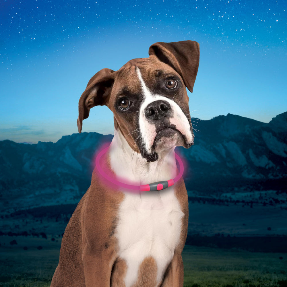Nite Ize NiteHowl ruban tie dye rose ajouté au collier existant pour visibilité