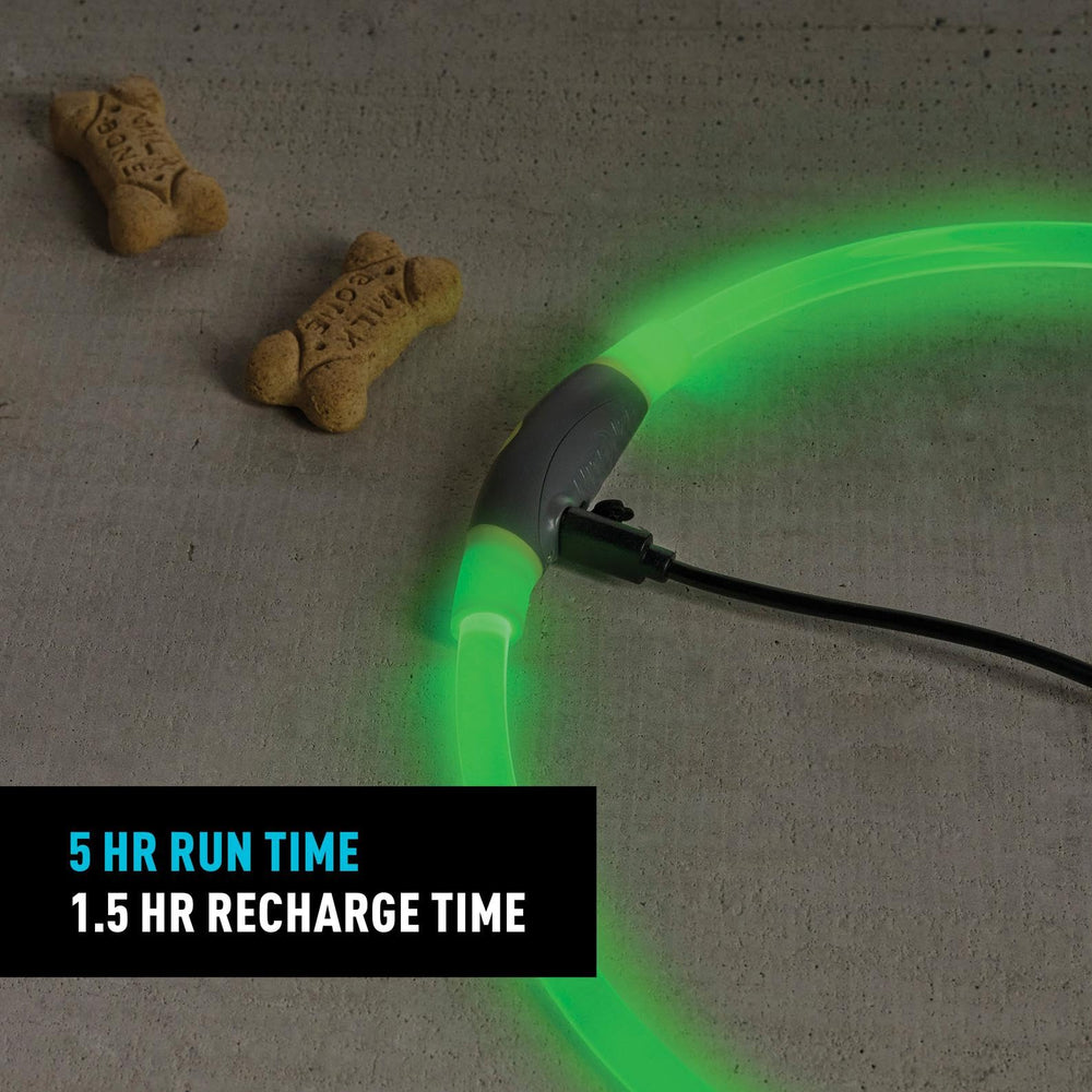 Nite Ize collier illuminé sur trottoir montrant visibilité routière accrue