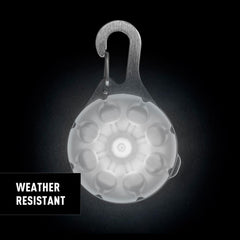Nite Ize SpotLit attachée au collier et harnais pour sécurité