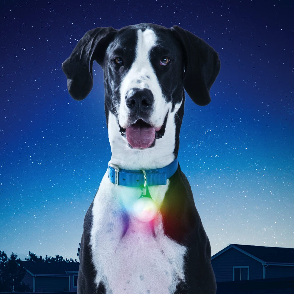 Nite Ize SpotLit XL en camping la nuit signalant l’emplacement de l’animal