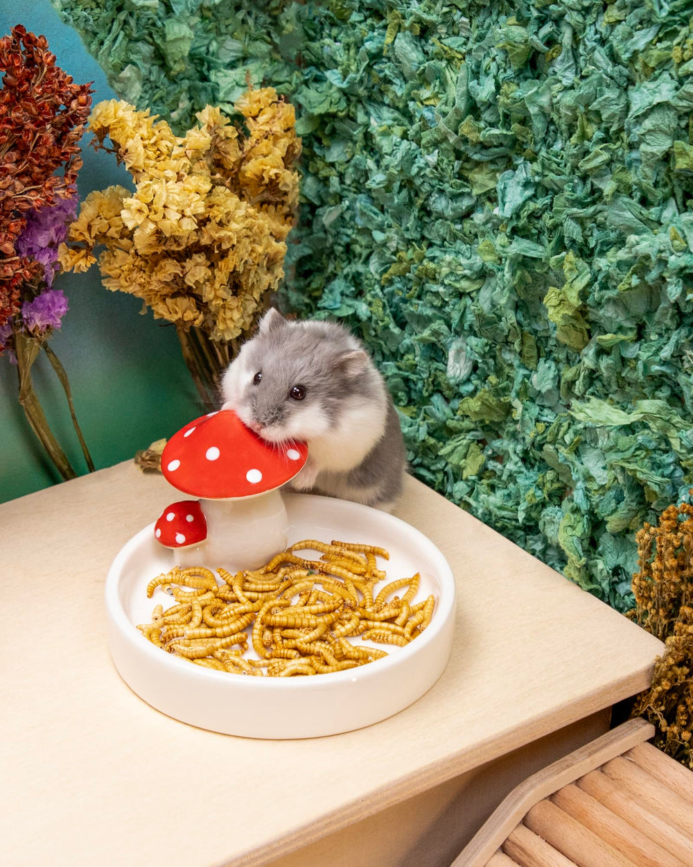 Niteangel petit animal en train de manger pour stimuler l'appétit