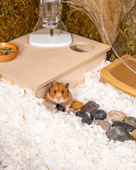 Niteangel litière installée en cage avec hamster créant un nid confortable