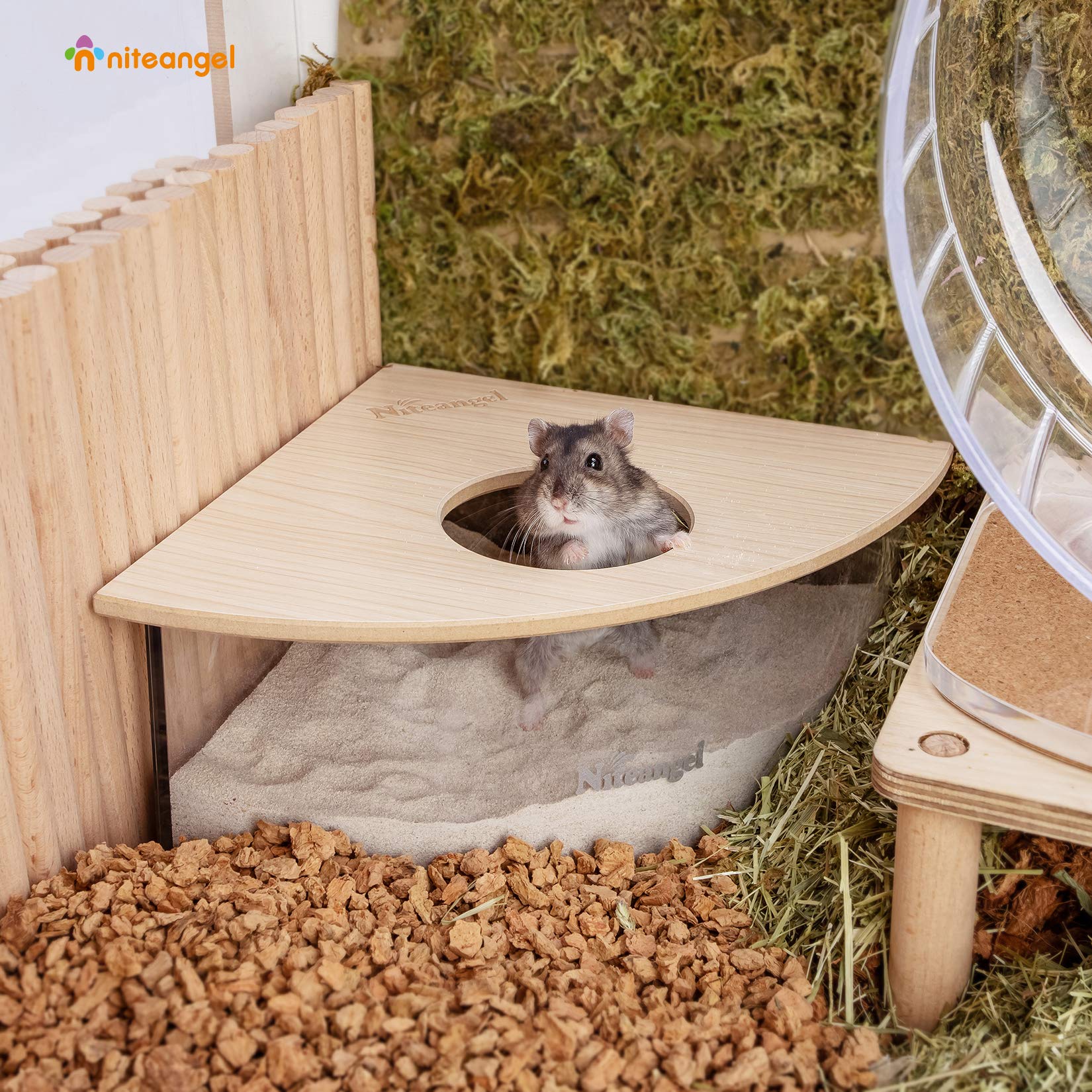 Niteangel hamster utilisant le bac, favorise fouissage et comportement naturel