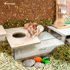 Niteangel bac en usage avec hamster creusant, favorisant comportement naturel