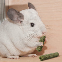 Niteangel bâtonnet en bouche d'un lapin, divertissement prolongé