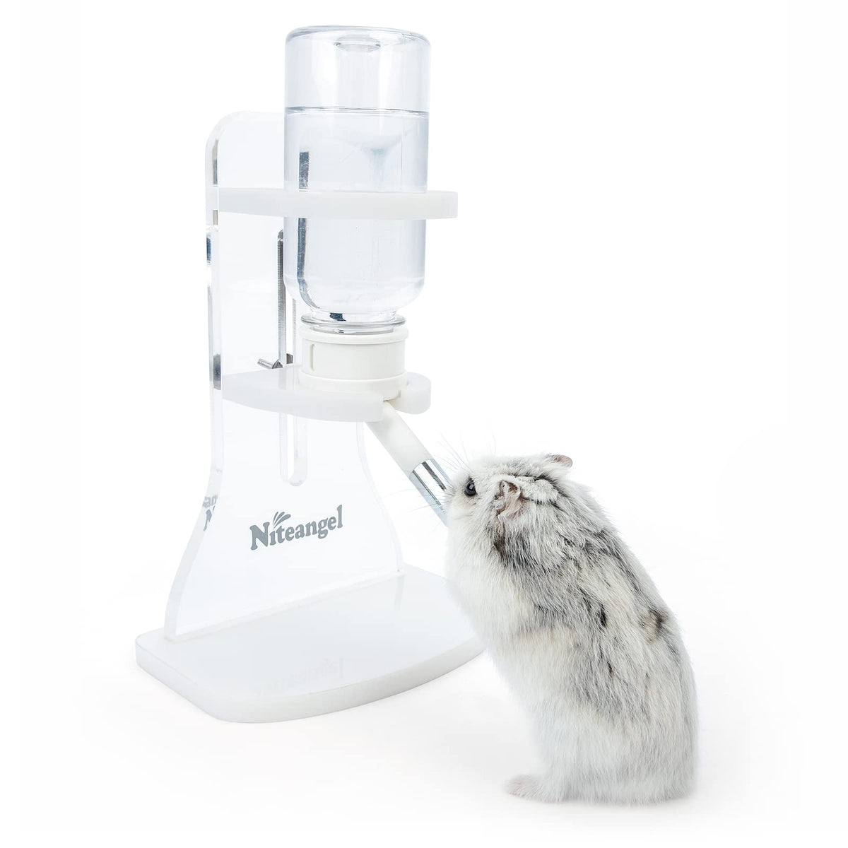 Niteangel biberon face avant montrant design stable et capacité