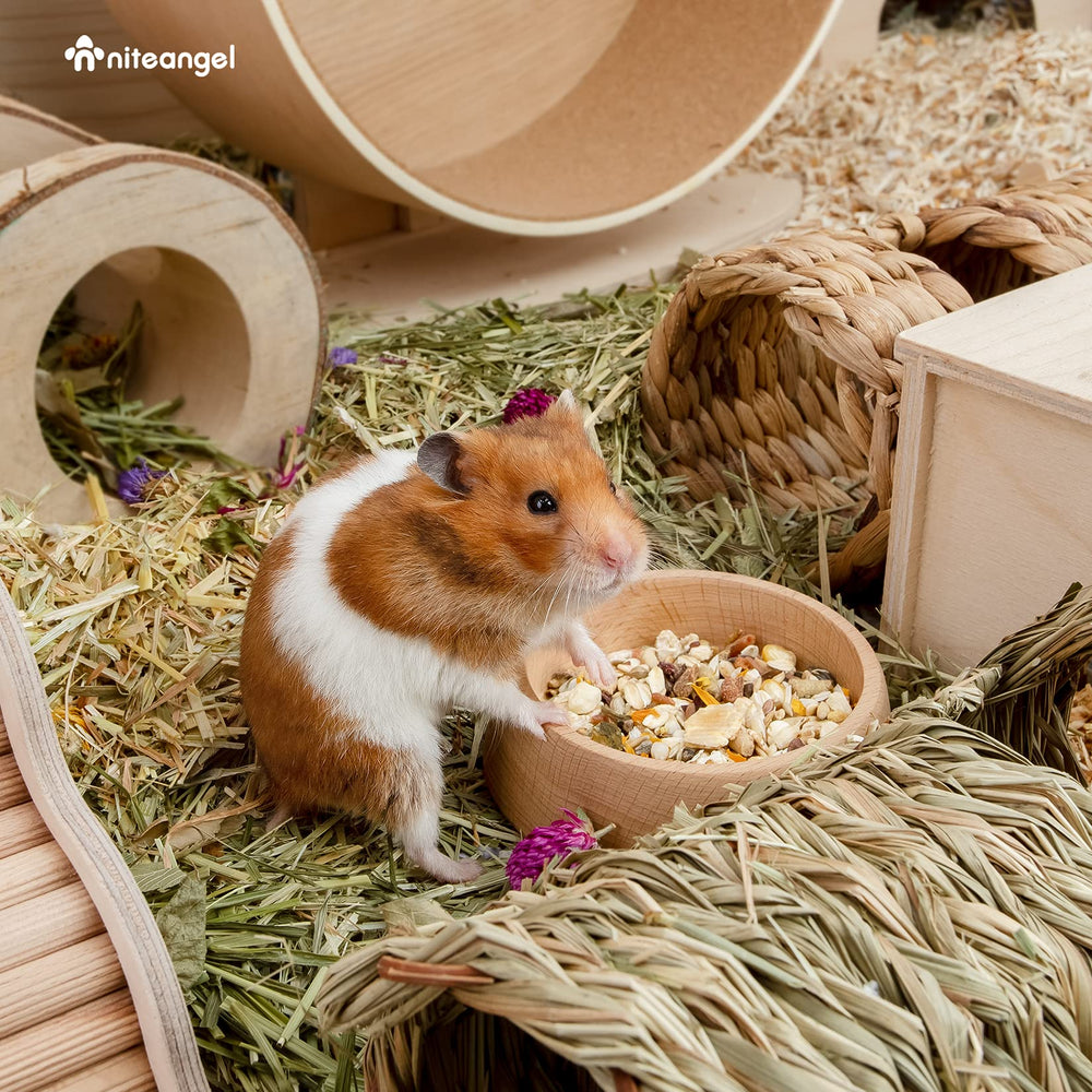 Niteangel bol en cage utilisé par un hamster, réduit renversements