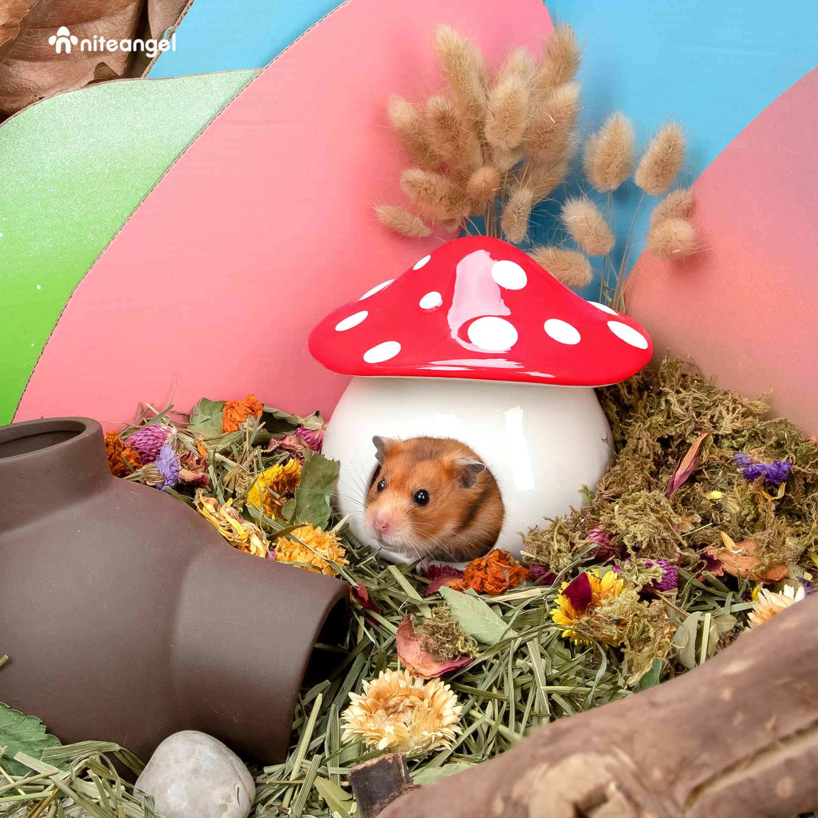 Niteangel hamster entrant, favorise comportement de cachette naturel