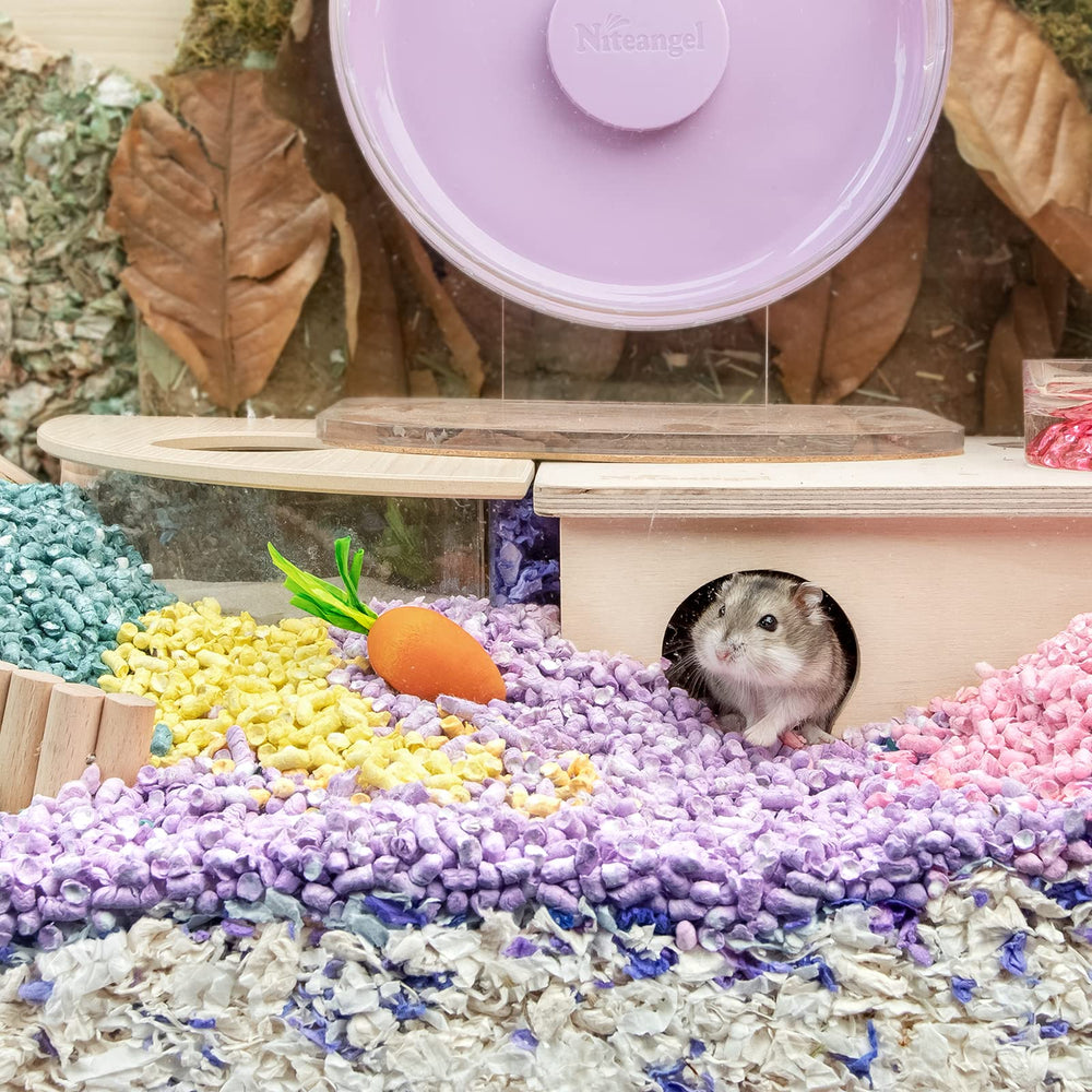 Niteangel carotte présentée avec hamster en train de ronger pour stimulation