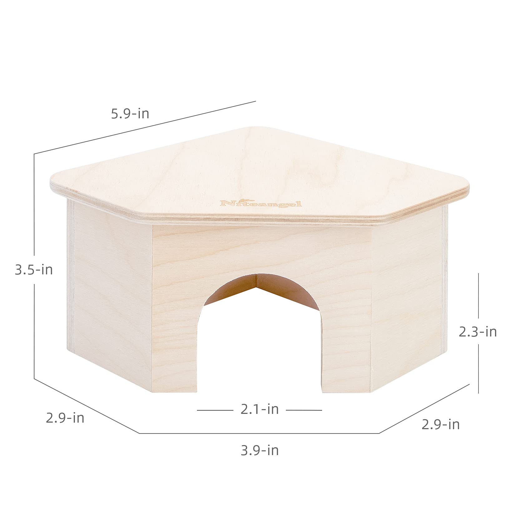 Niteangel comparaison de taille avec une main, dimensions adaptées et compactes