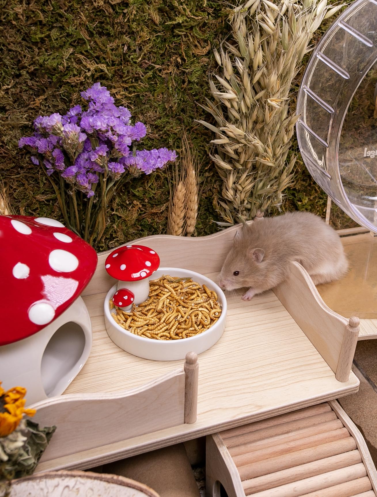 Niteangel comparaison taille pour doser la portion selon l'animal