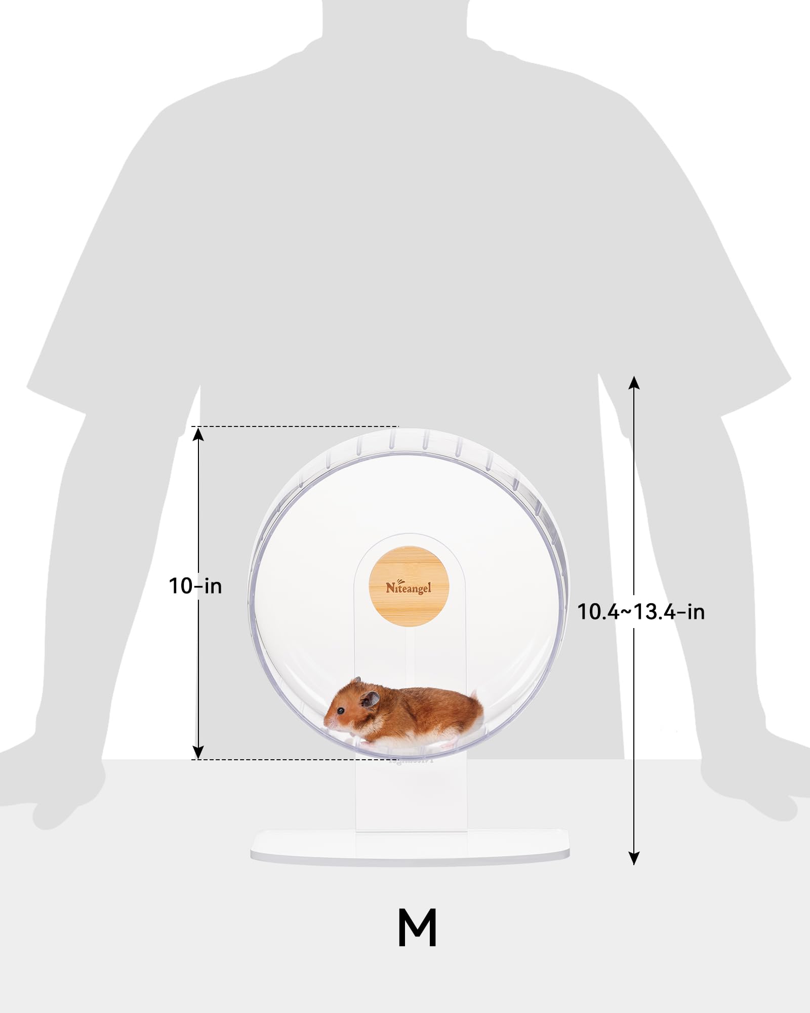 Niteangel comparaison taille avec une main, échelle et dimensions claires