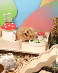 Niteangel hamster grignotant friandise, stimule l'activité et le bien-être