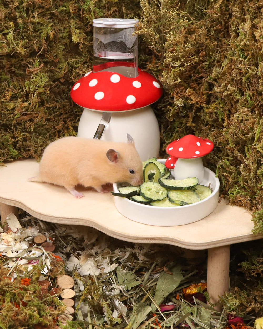 Niteangel friandises présentées dans un décor naturel, choix sans additifs rassurant