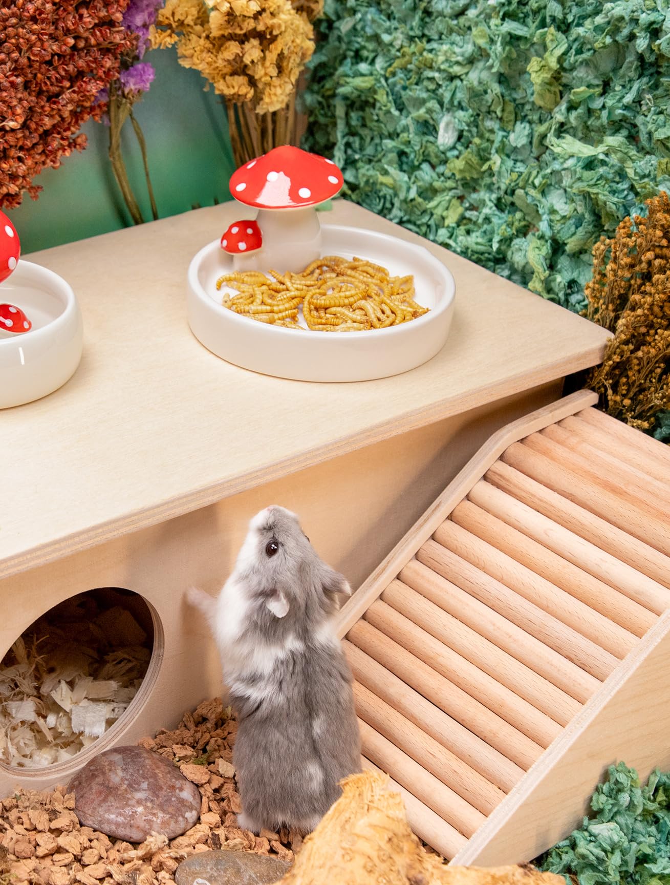 Niteangel coupelle en environnement cage pour enrichissement alimentaire