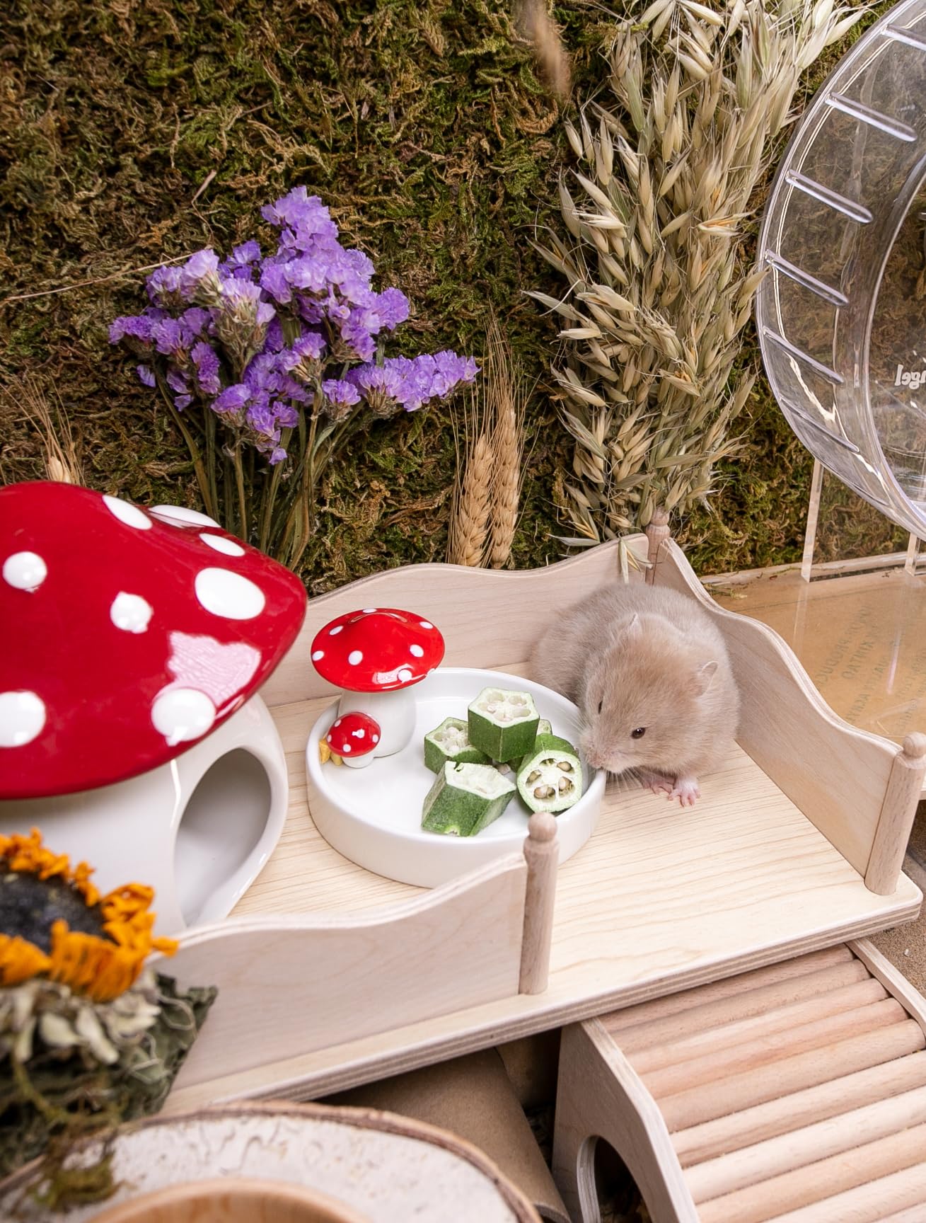 Niteangel dans niche hamster photo usage montrant stimulation et jeu lors de la récompense