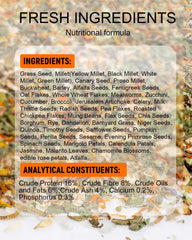 Niteangel gros plan sur texture de graines pour varier alimentation et croquant