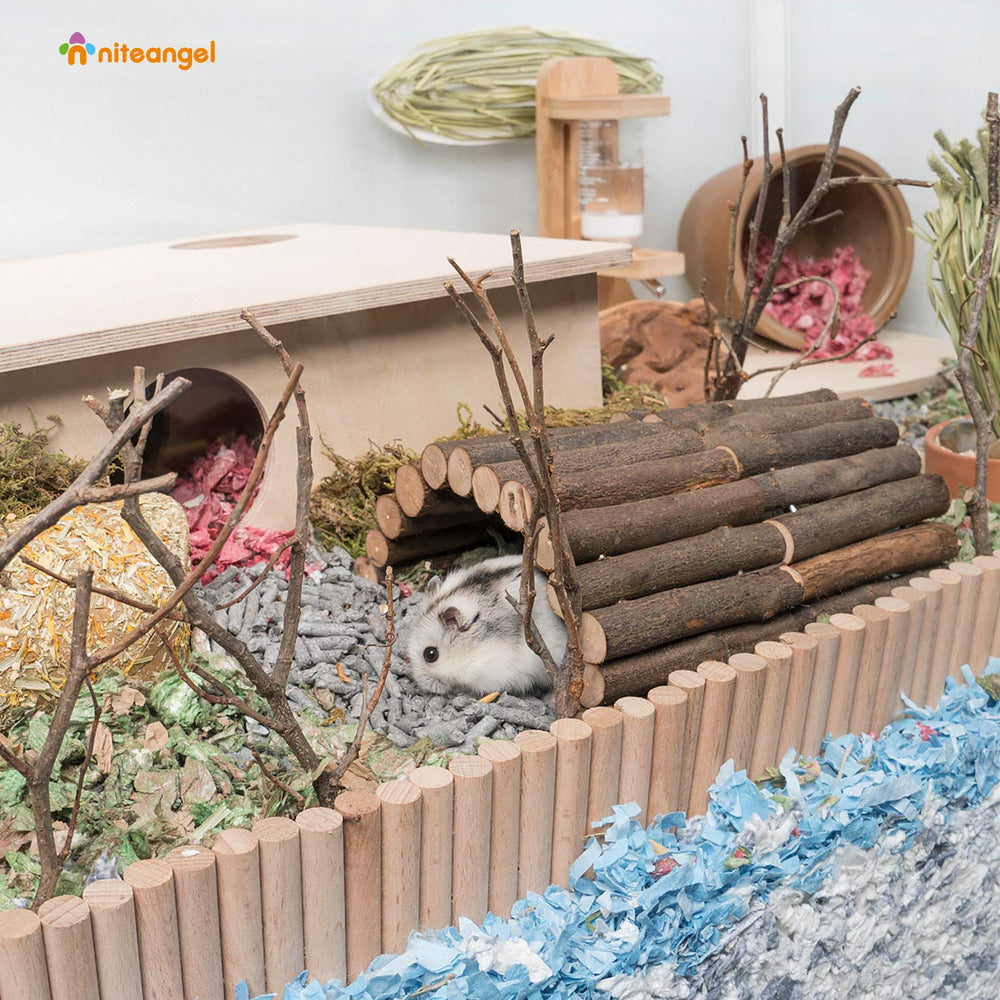 Niteangel gros plan sur bois naturel illustrant texture sûre à ronger