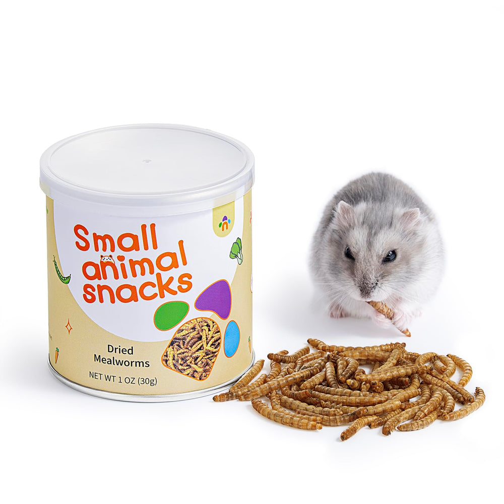 Niteangel emballage avant montrant le sachet scellé et sa netteté