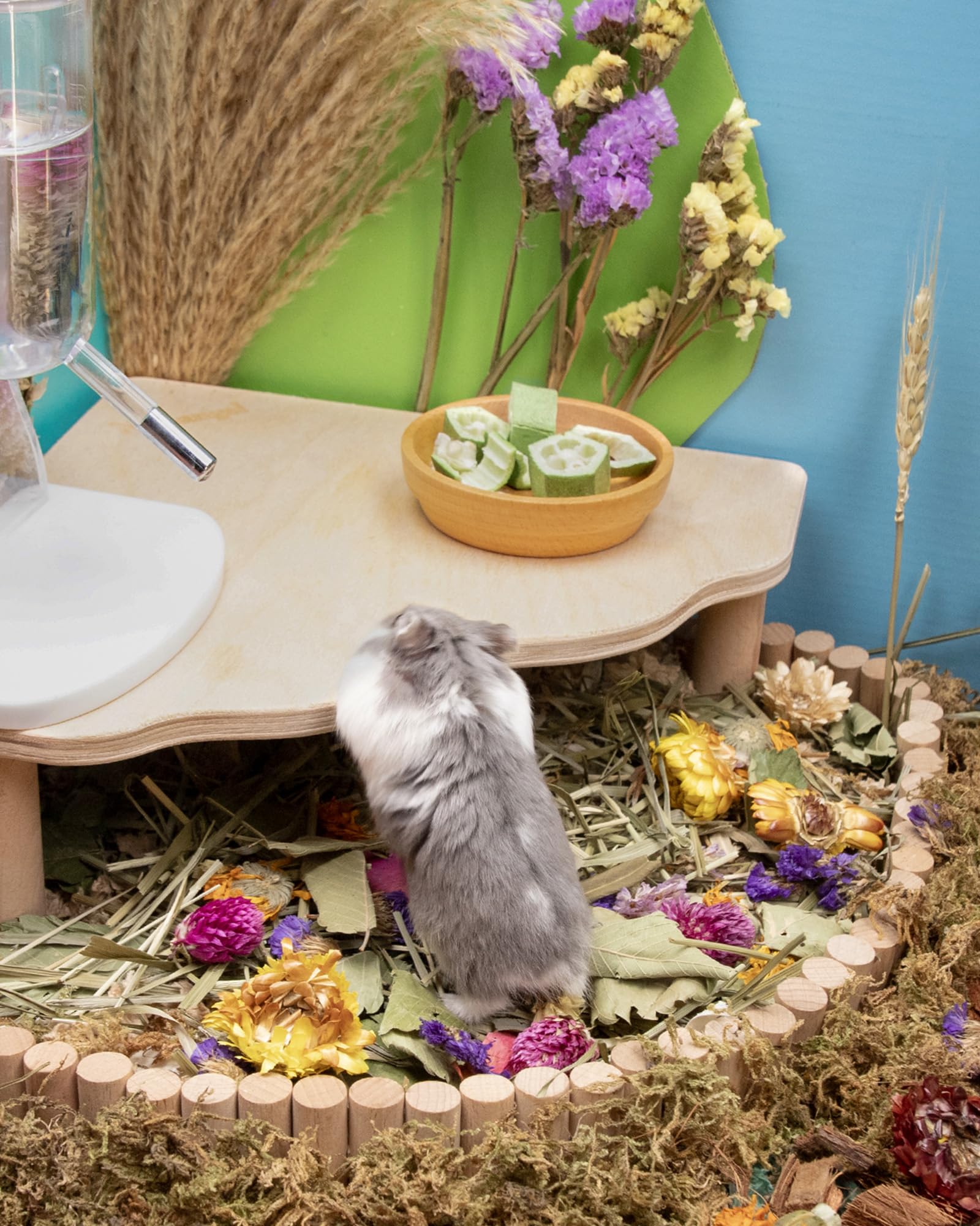 Niteangel etiquette ingredients affichant composition sans additifs pour plus de transparence