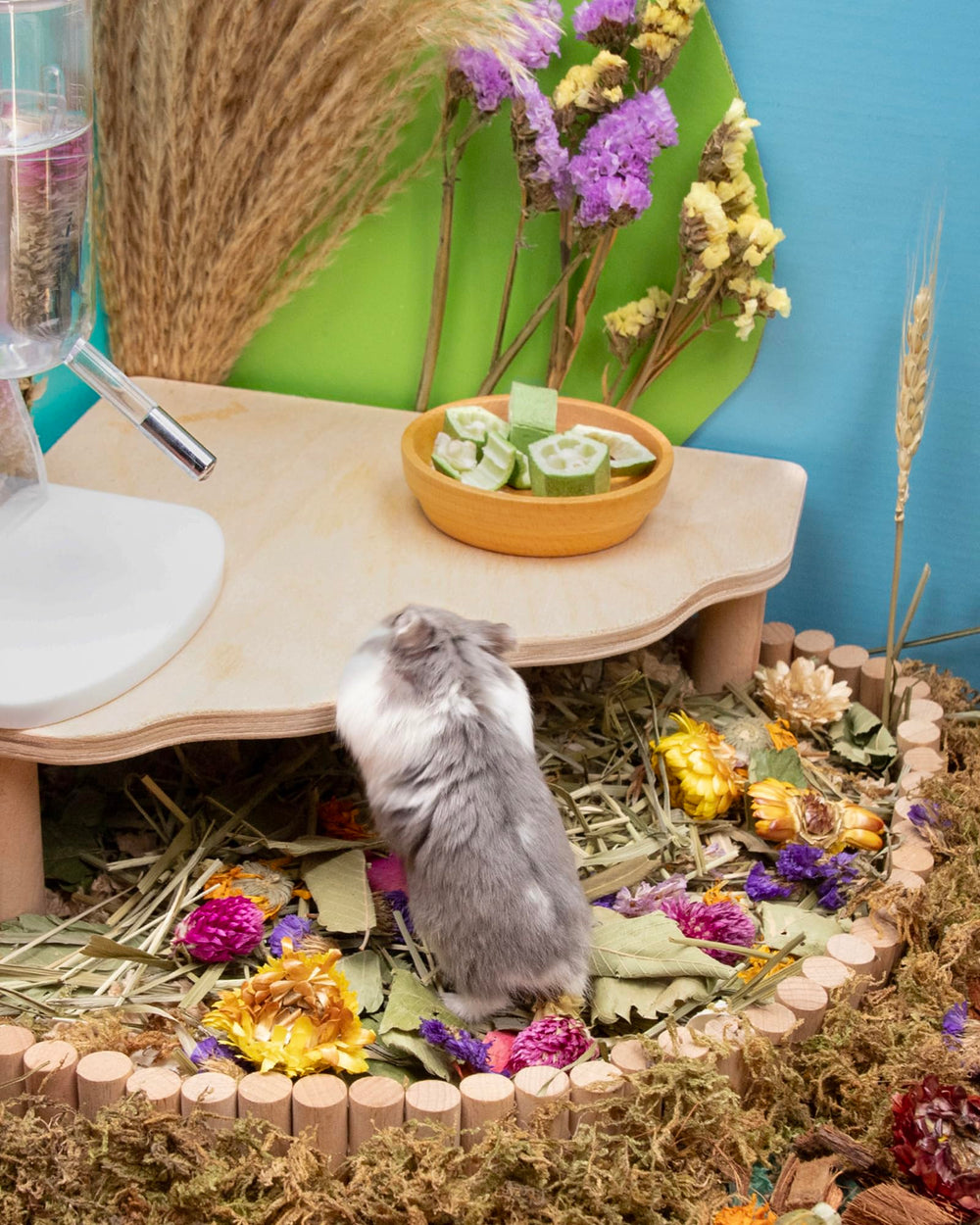 Niteangel etiquette ingredients affichant composition sans additifs pour plus de transparence