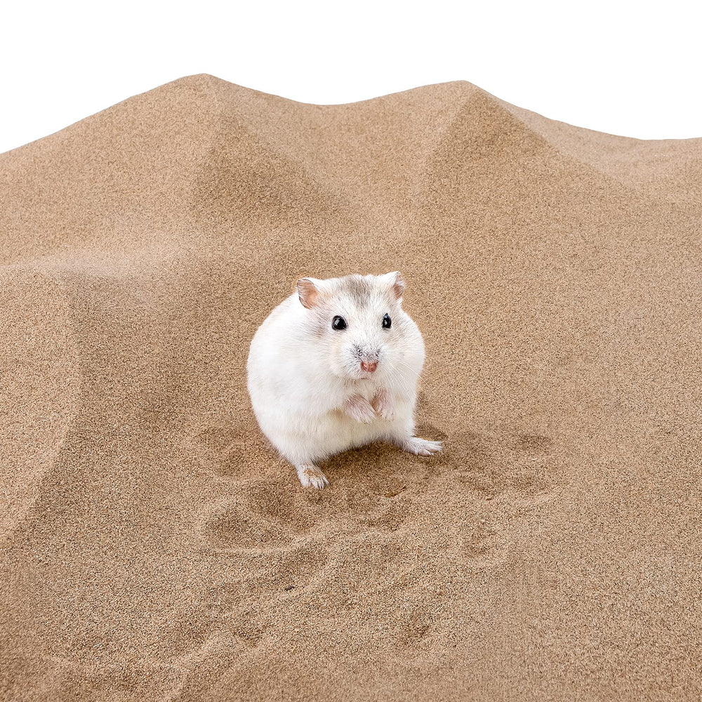 Niteangel gros plan sur la granulométrie du sable, douceur pour le pelage