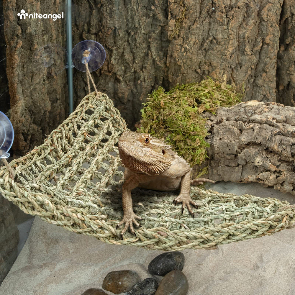 Niteangel hamac à l'échelle avec règle, confirme les dimensions 43 x 32 cm