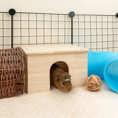 Niteangel gros plan fenêtre en bois offrant ventilation et visibilité