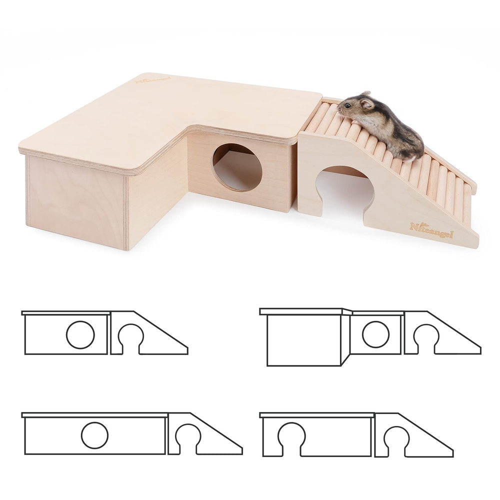 Niteangel hamster utilisant la cabane, interaction et confort visibles