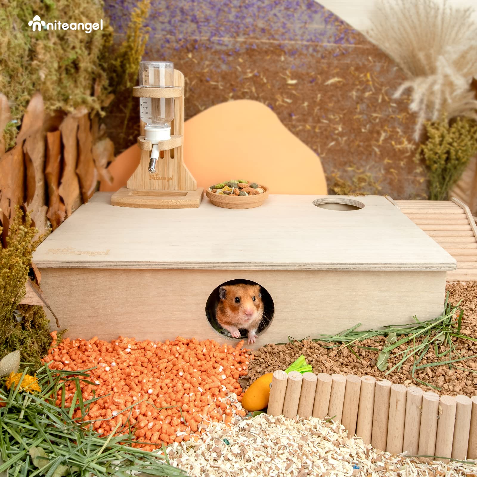 Niteangel comparaison taille hamster et maison, vérifie compatibilité syriens
