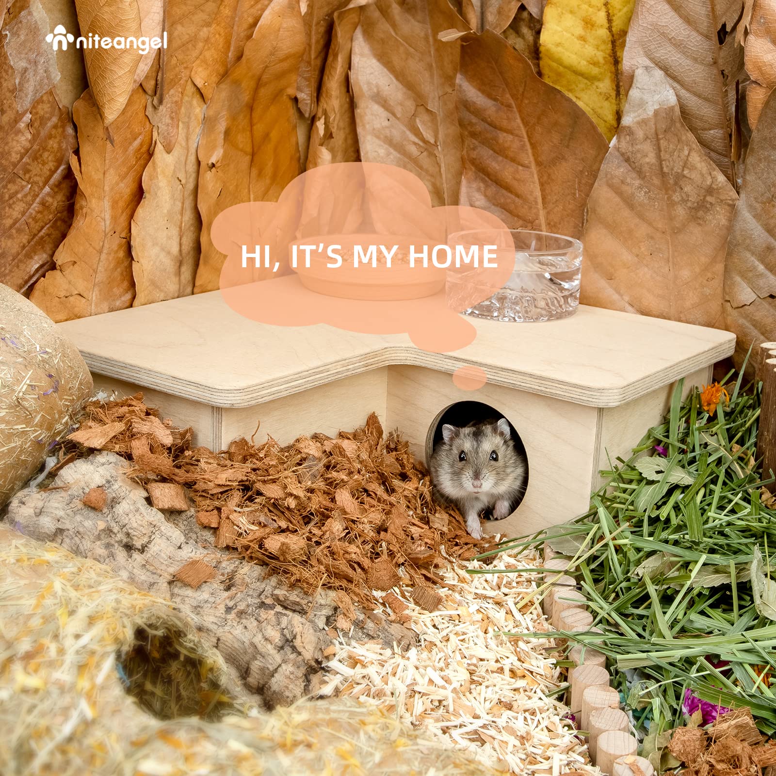 Niteangel comparaison d'échelle avec une patte de hamster pour taille
