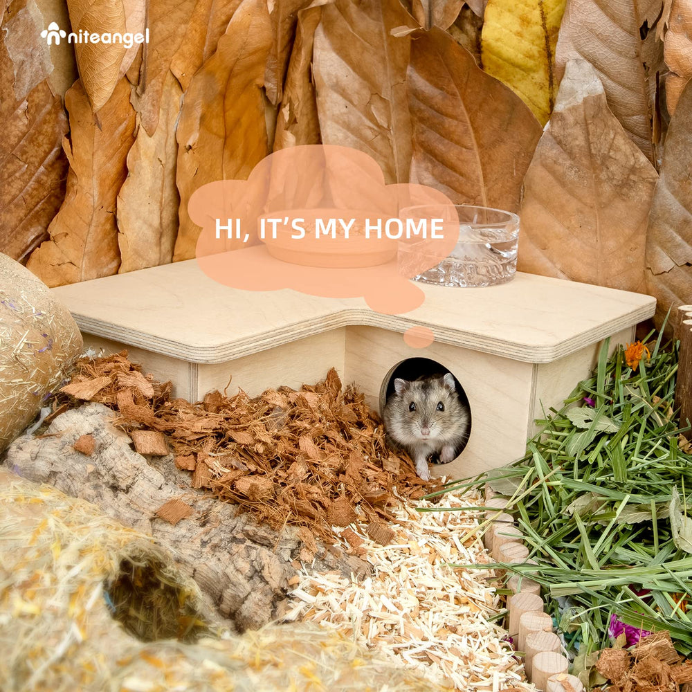 Niteangel comparaison d'échelle avec une patte de hamster pour taille