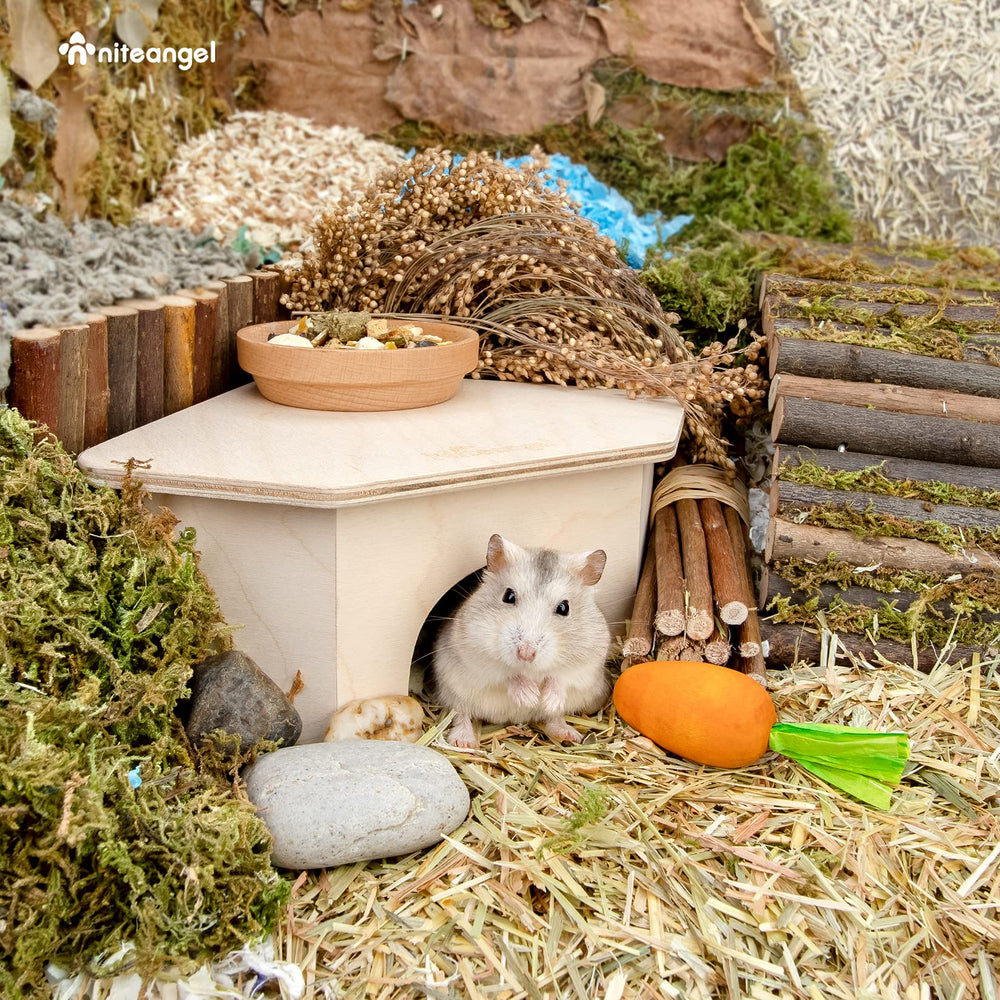 Niteangel maisonnette en situation dans une cage, enrichissement et confort
