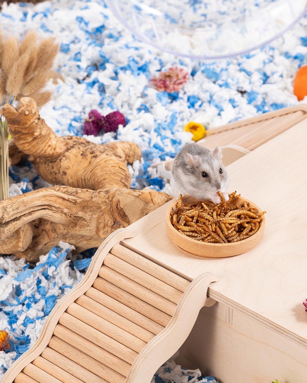 Niteangel mise en scène cage présentant friandises en contexte