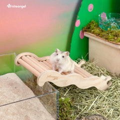 Niteangel pont en usage avec hamster stimulant activité et exploration