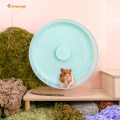 Niteangel roue en usage hamster courant pour exercice sain