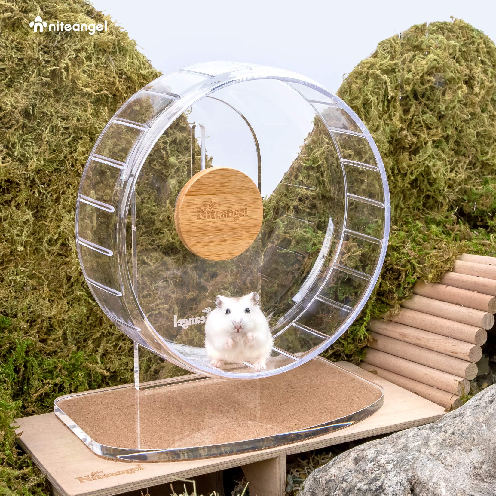 Niteangel roue en usage avec hamster courant calmement la nuit