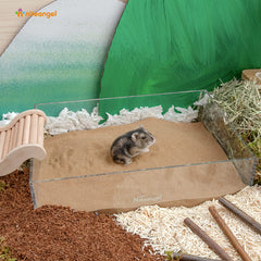 Niteangel hamster profitant du sable, stimulation naturelle et toilettage