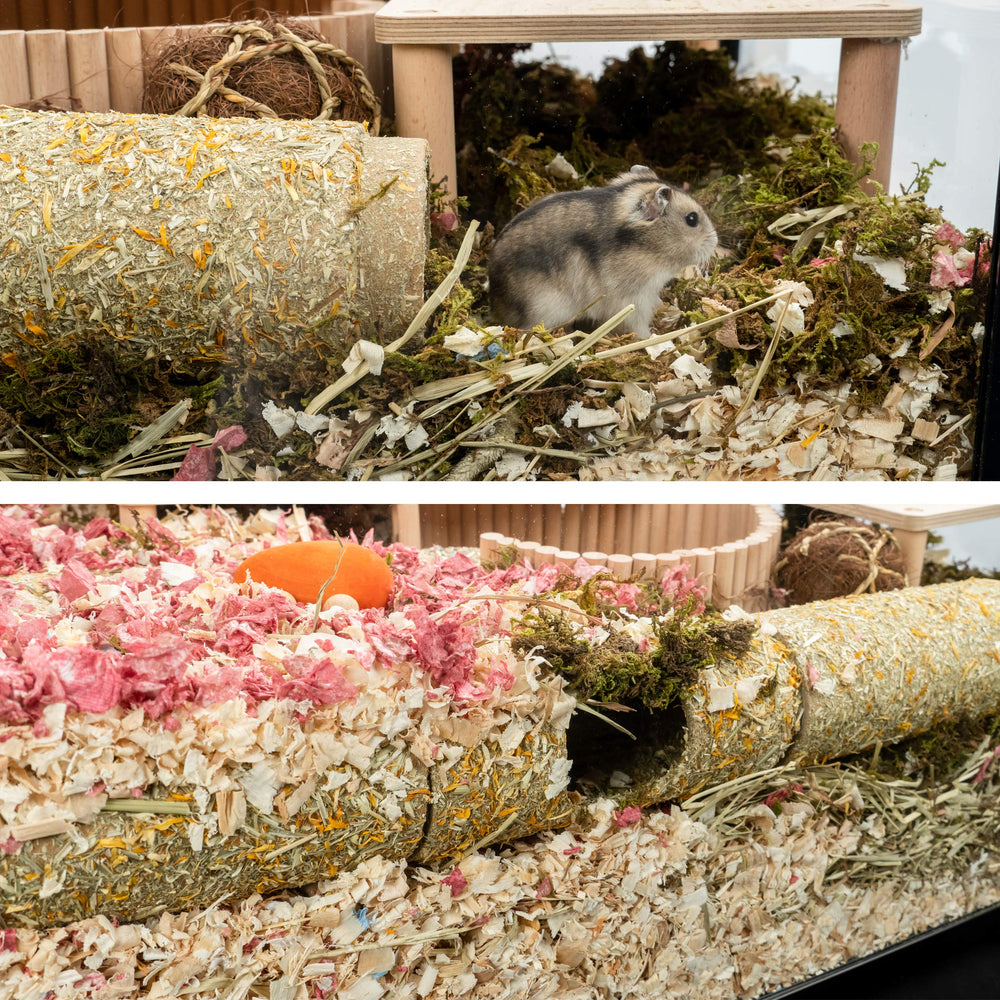 Niteangel tunnel installé dans une cage avec hamster bénéfice stimulation