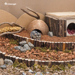 Niteangel litière installée dans cage de hamster favorisant fouille
