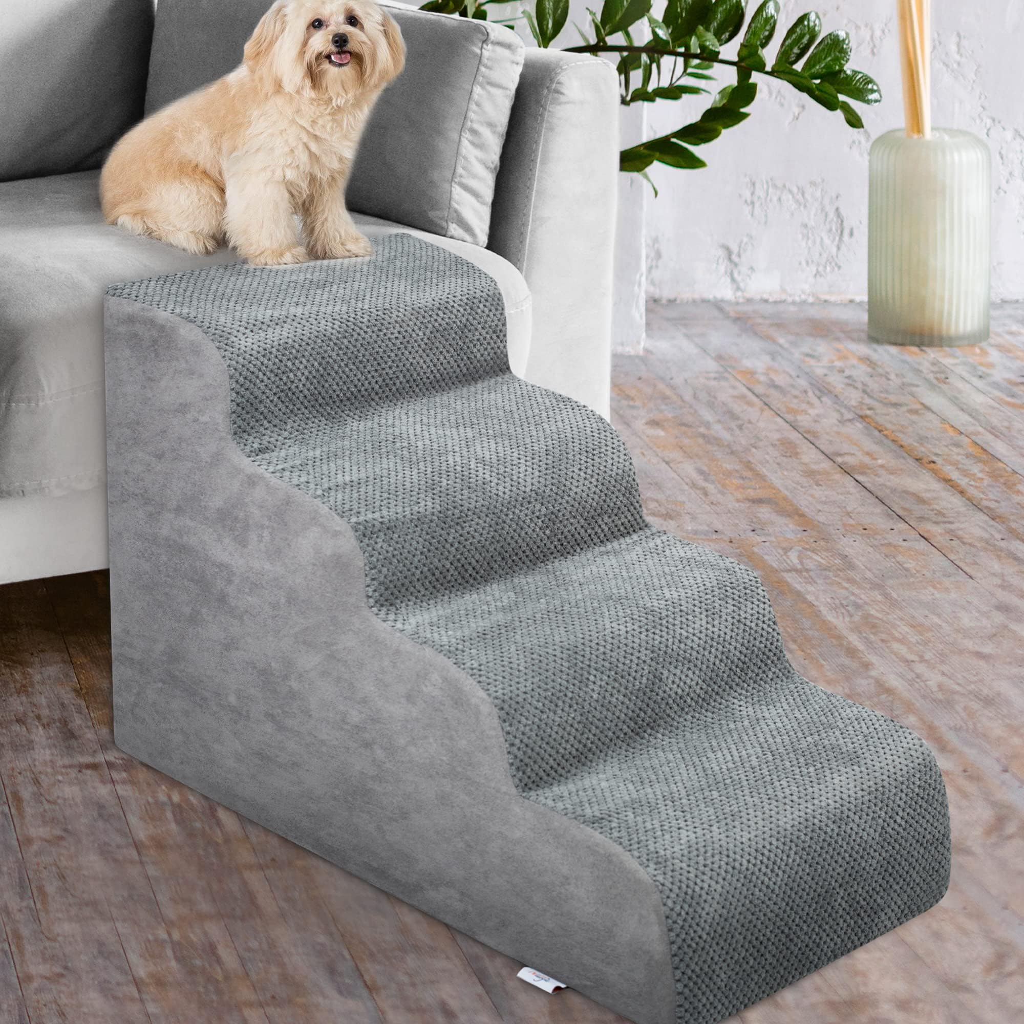 Niubya comparaison taille avec petit chien pour visualiser échelle